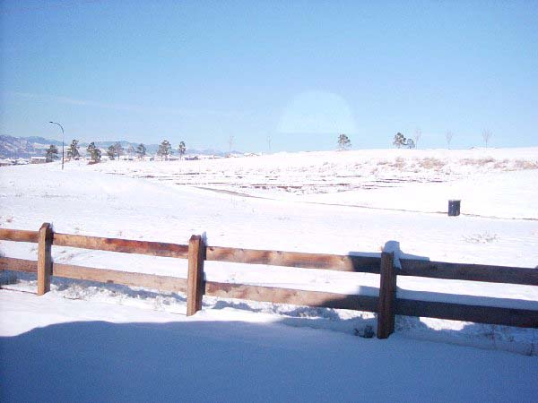 backyard1